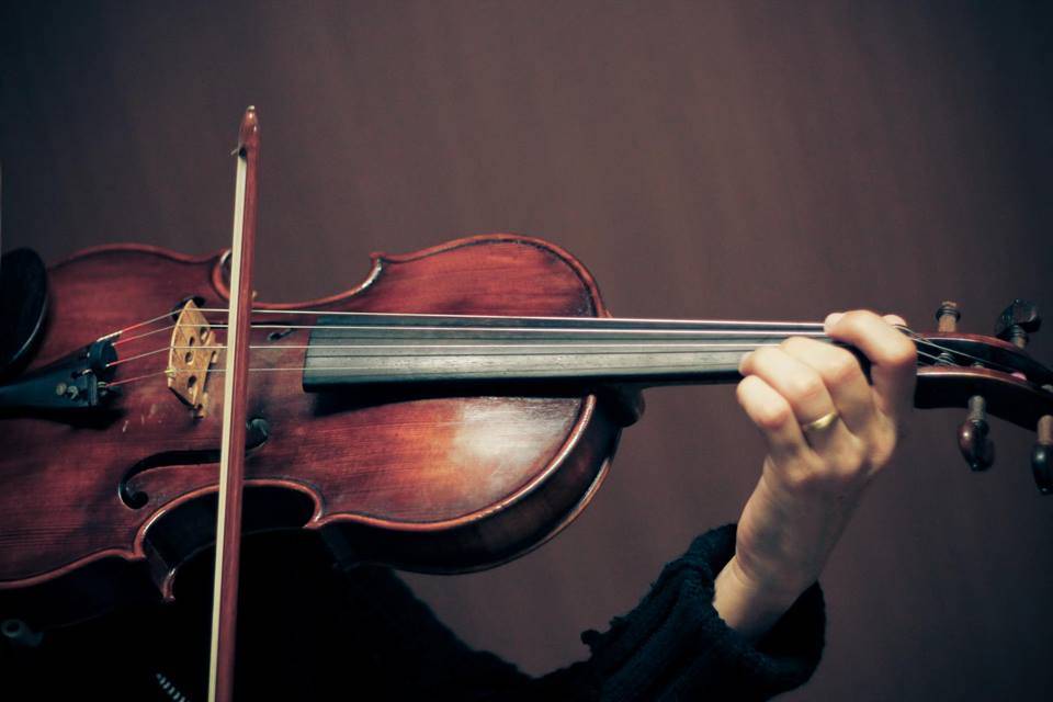 Violino