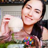 Carolina Rocha Casarini