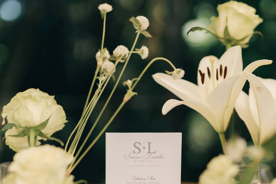 Menu Suporte  SL