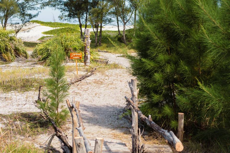 Caminho da praia