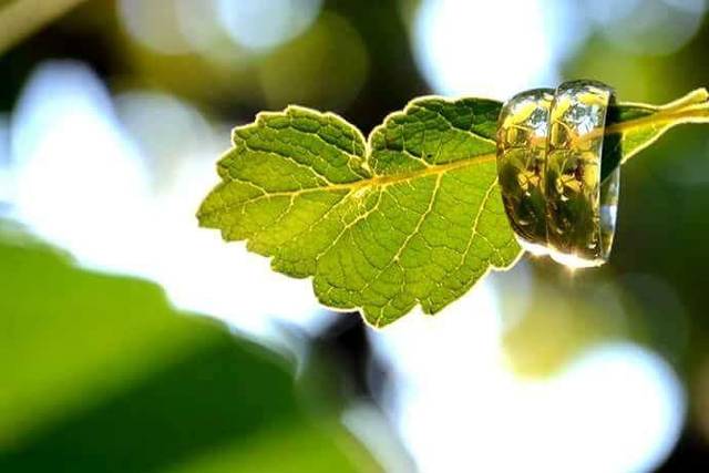 Bruno Faria Fotógrafo