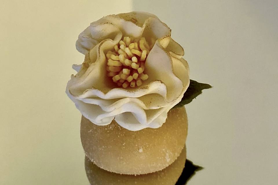 Doce de damasco floral