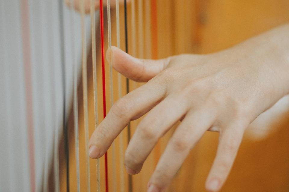 Harpa Mão e cordas