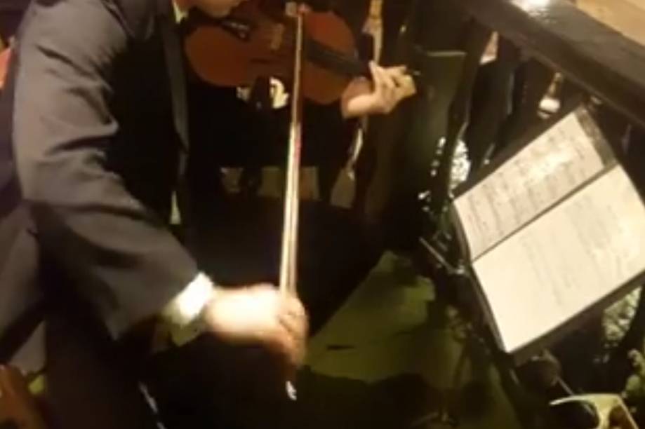 Solo violino