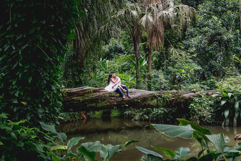 Parque Lage