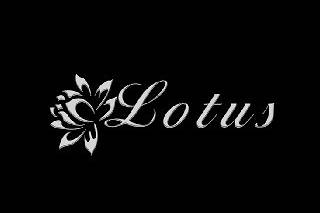 Lotus Festas e Eventos
