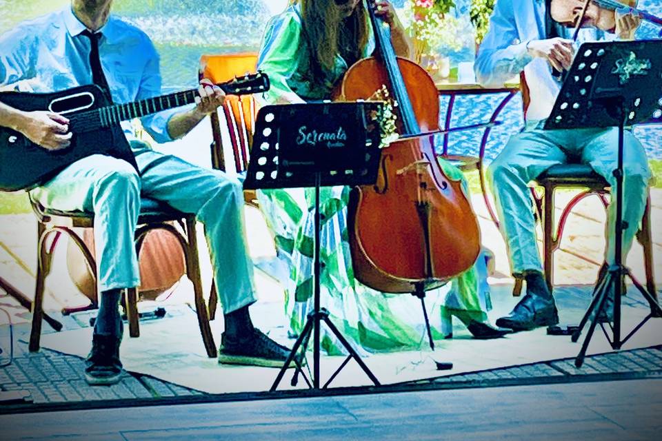 Pintura SERENATA ACÚSTICA