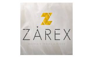 Zv logo