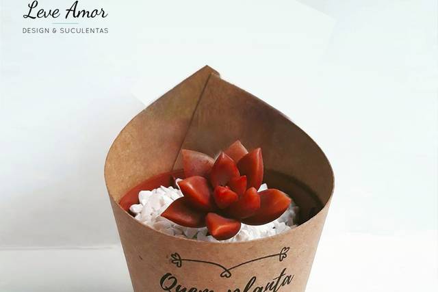 Modelo Rótulo de Papel