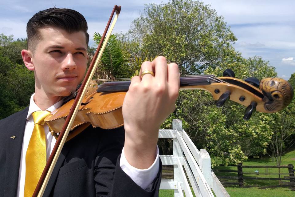 Violino