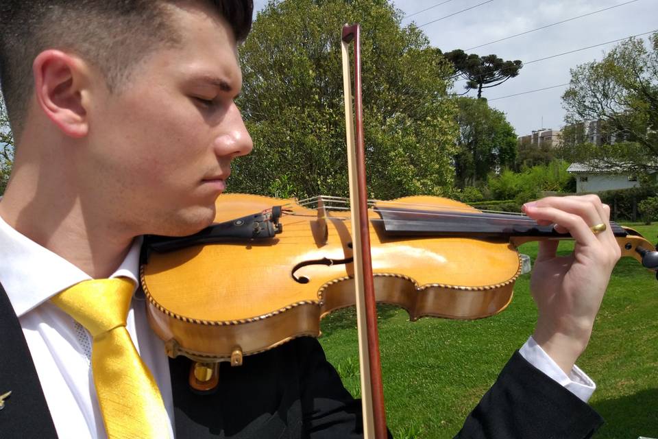 Violino