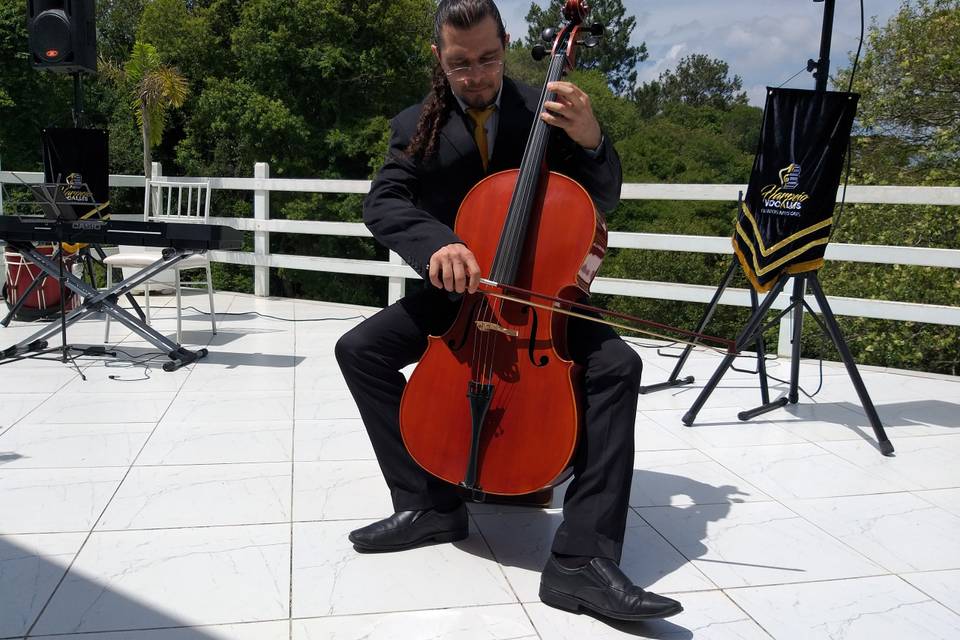 Cello