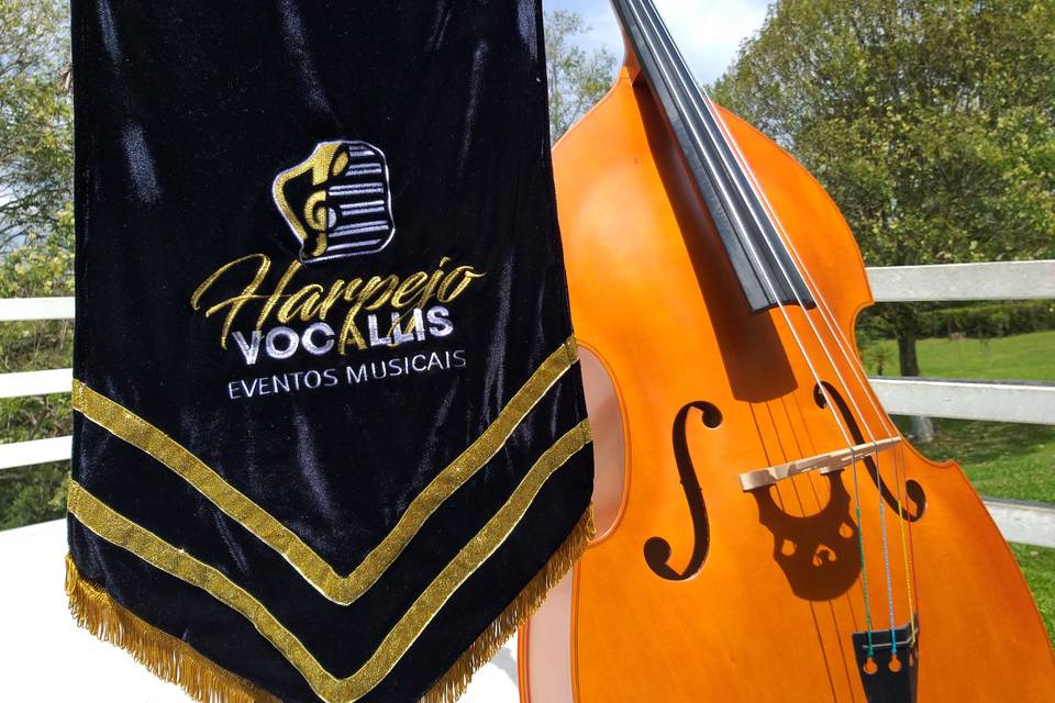 Harpejo Vocallis