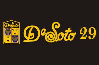 De Soto 29  logo