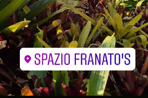 Spazio Franato's