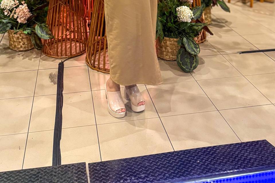 Anne Ramos