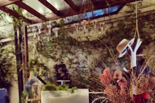 Projeta Drinks