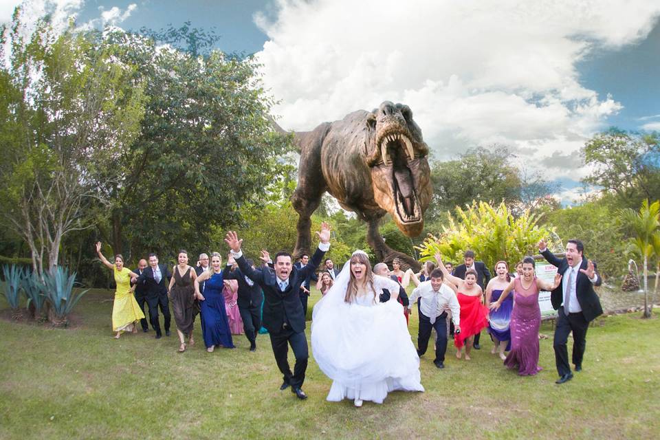 Trash the dress