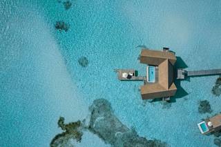 Carol Steffen Personal Concierge