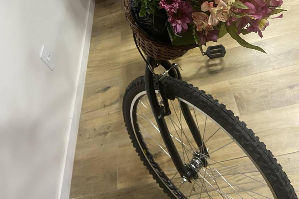 Bicicleta