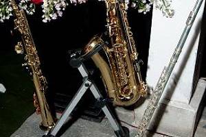 Elegância