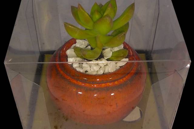 Mini Egito