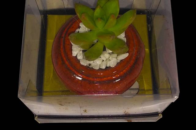 Mini Egito