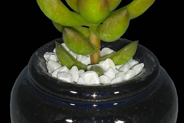 Mini Egito