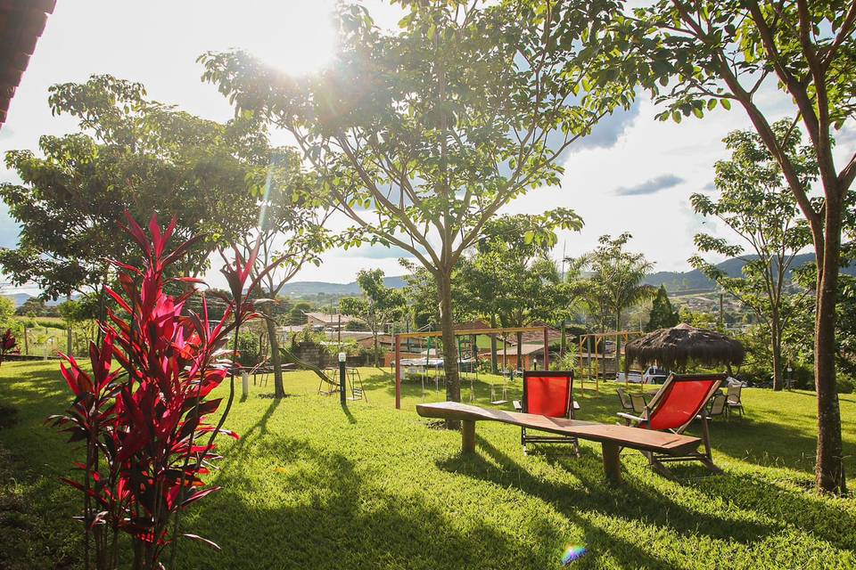 Contato com a natureza