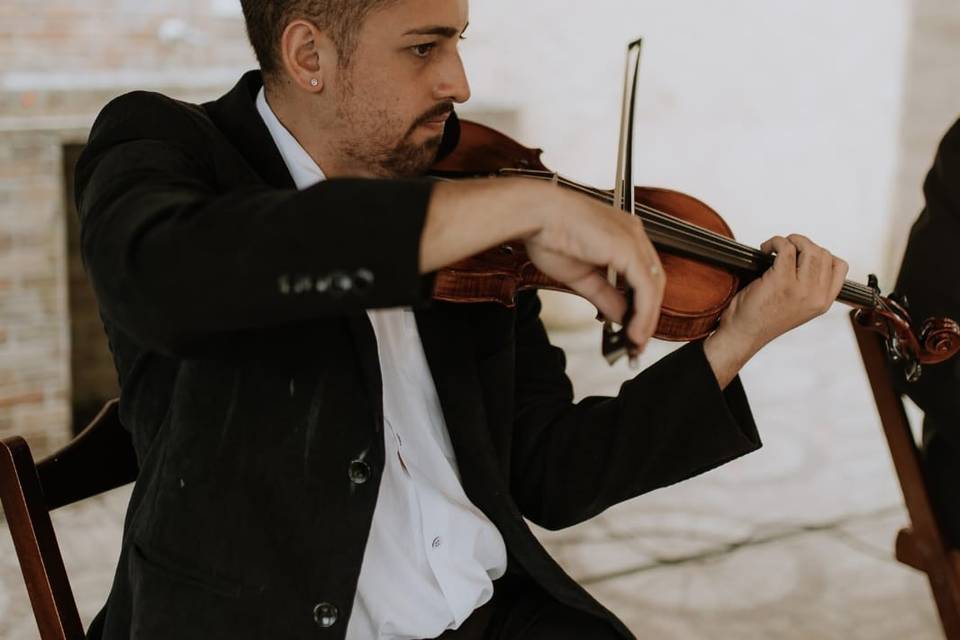 Violino