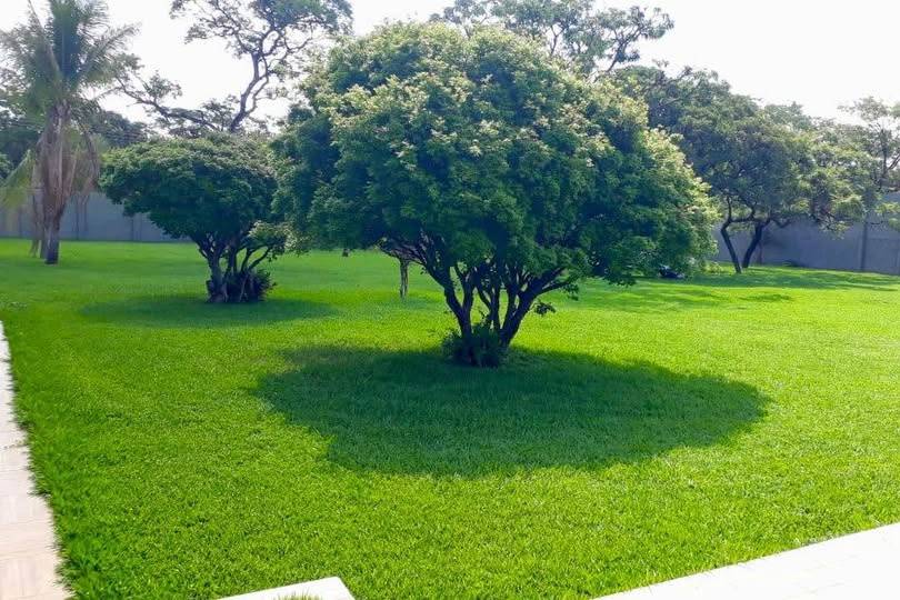 Área verde