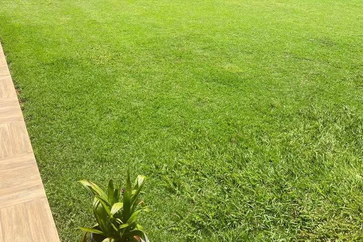Área verde