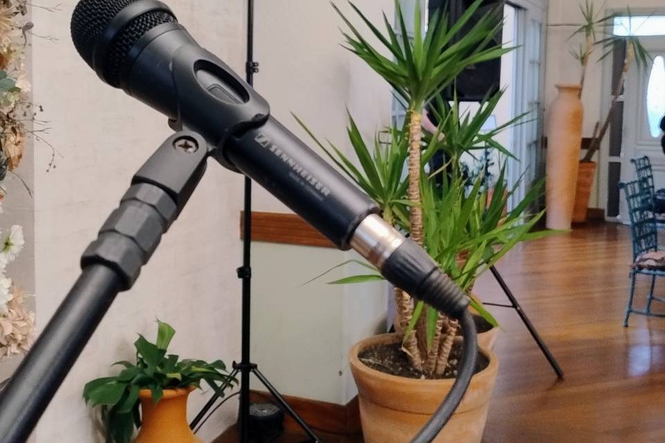 Tecnica