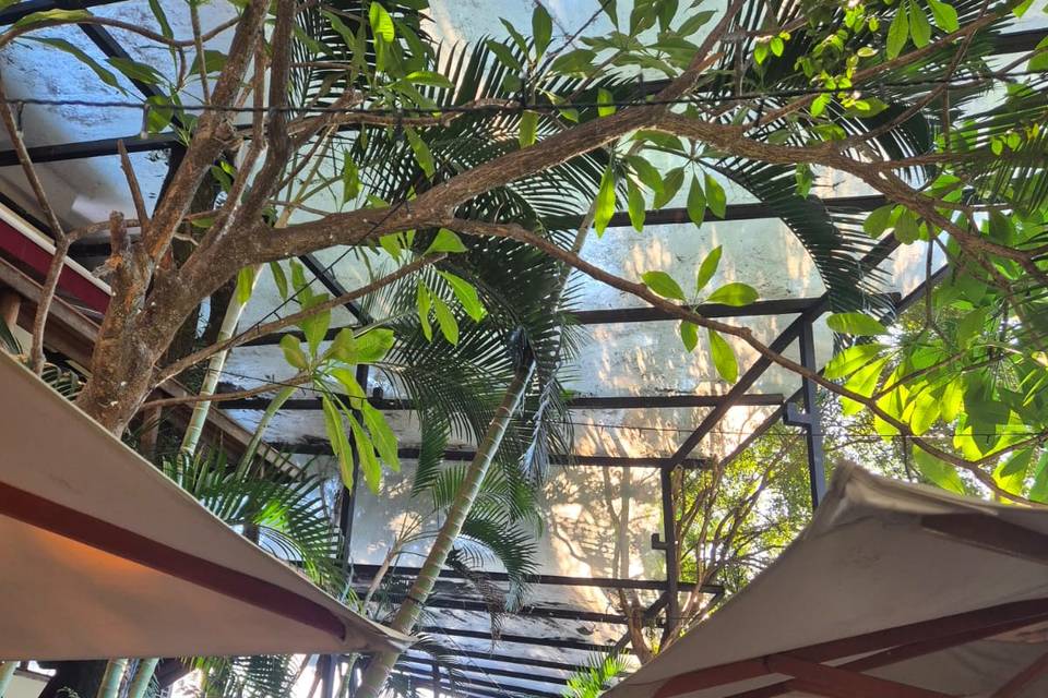 Jardim