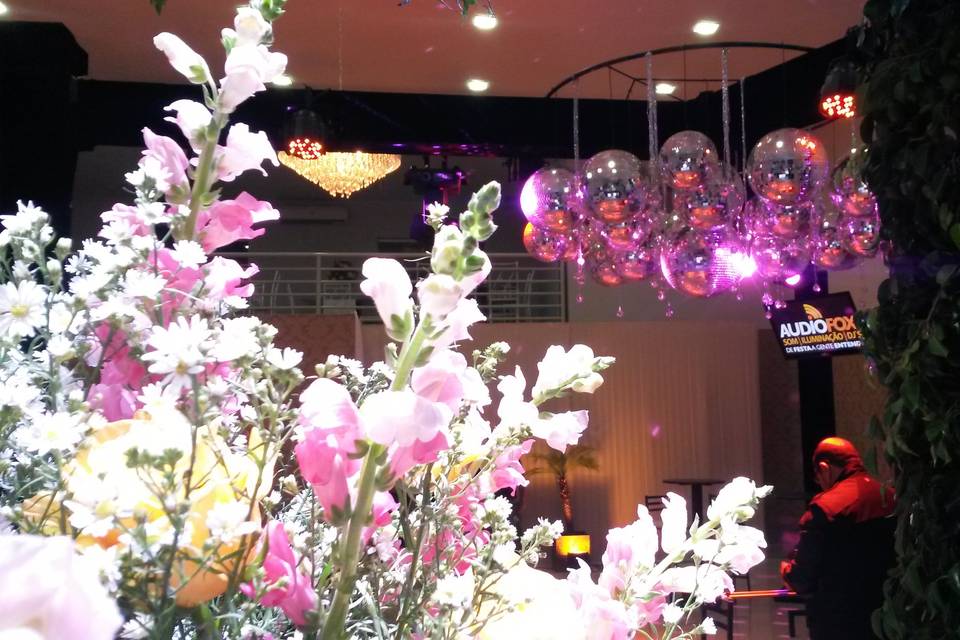 Audiofox Eventos