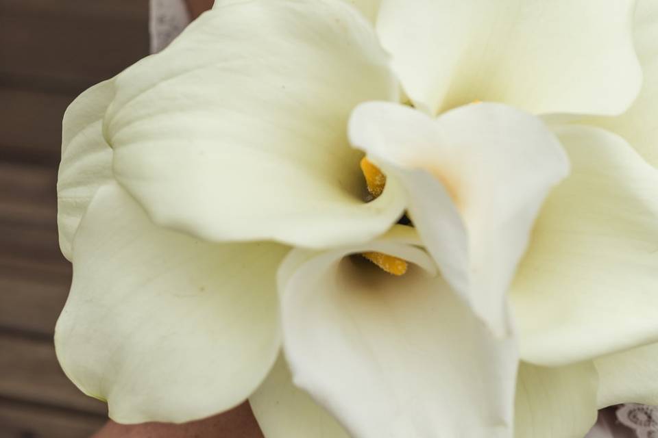 A beleza está nos detalhes
