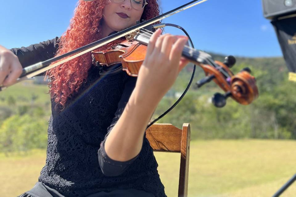 Violino