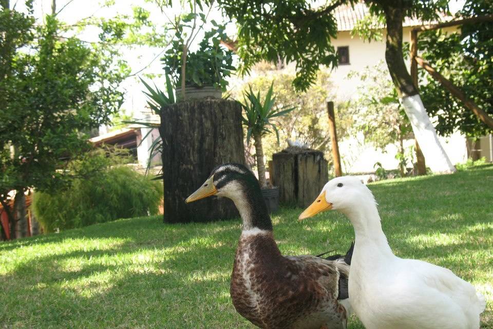 Sítio Estância da Lapa