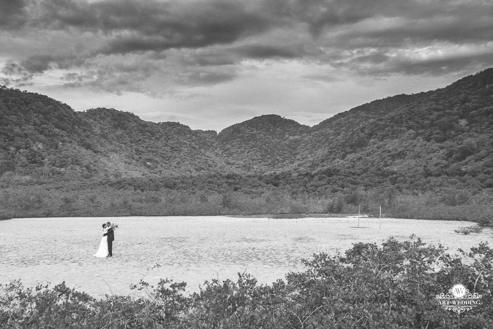 Art Wedding