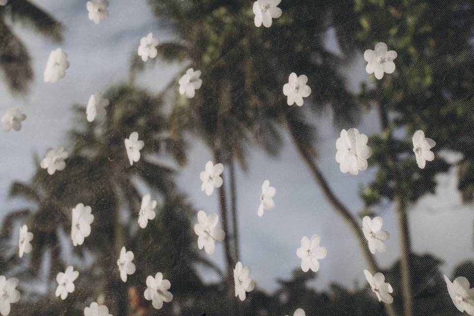 Fotógrafo em João Pessoa