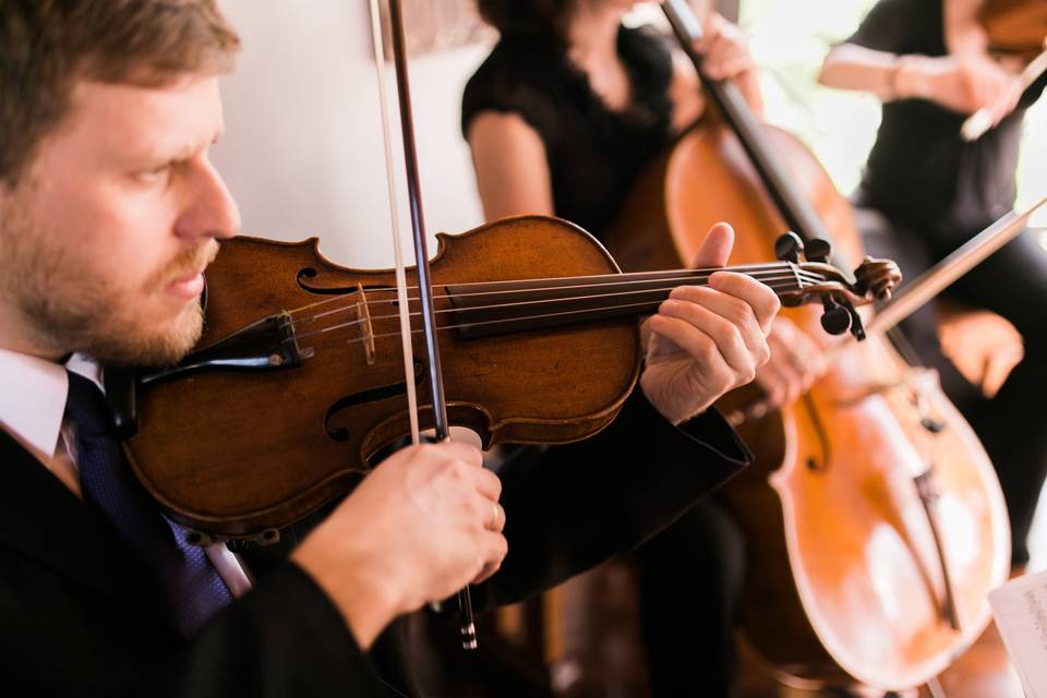 Trio de Cordas