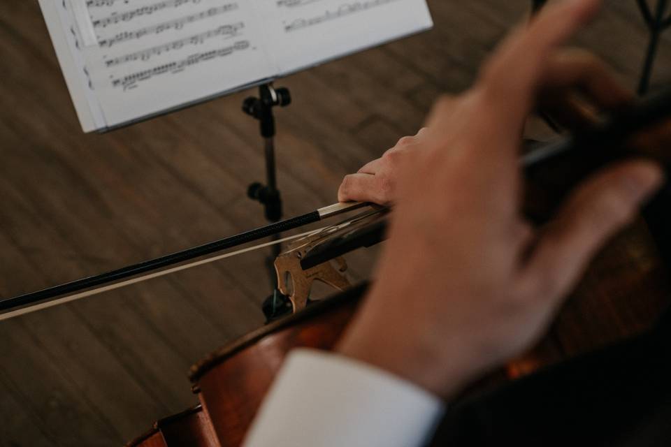 Violoncelo