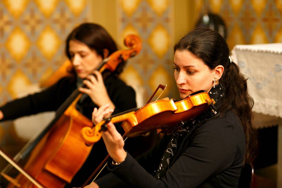 Violino e violoncelo