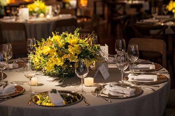 Alpaci Eventos