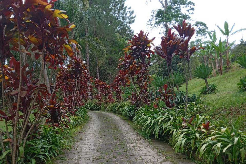 Área da entrada