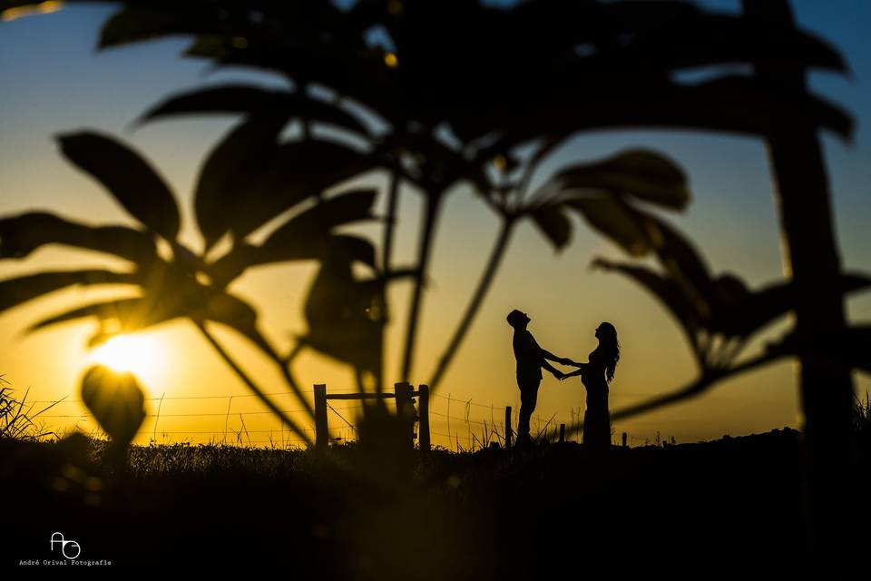 André Orival Fotografia