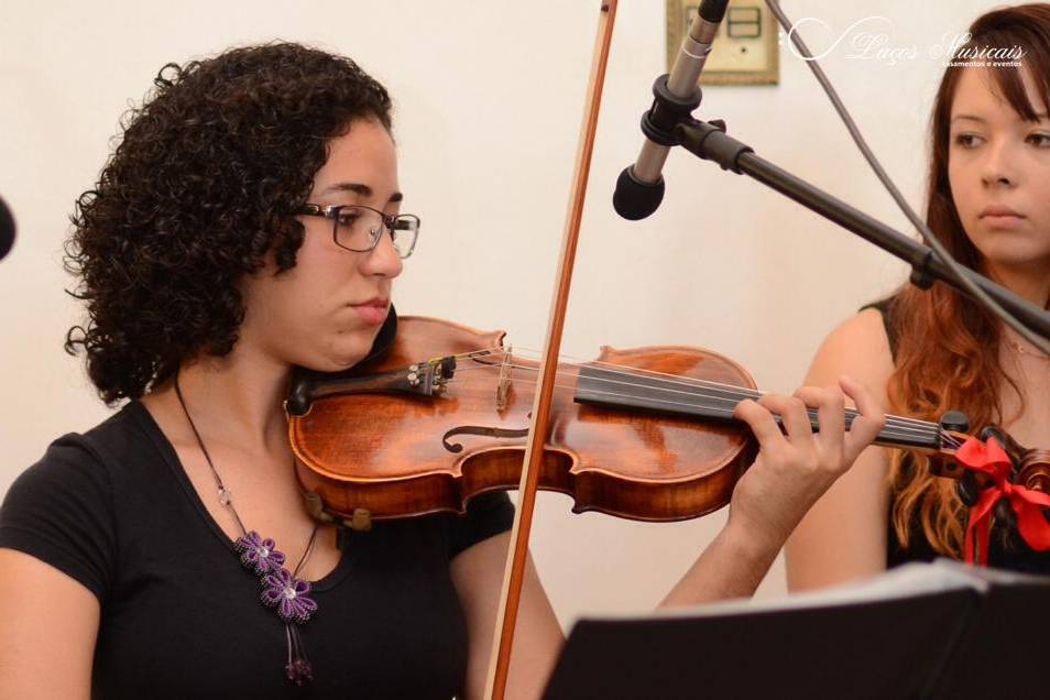 Violino