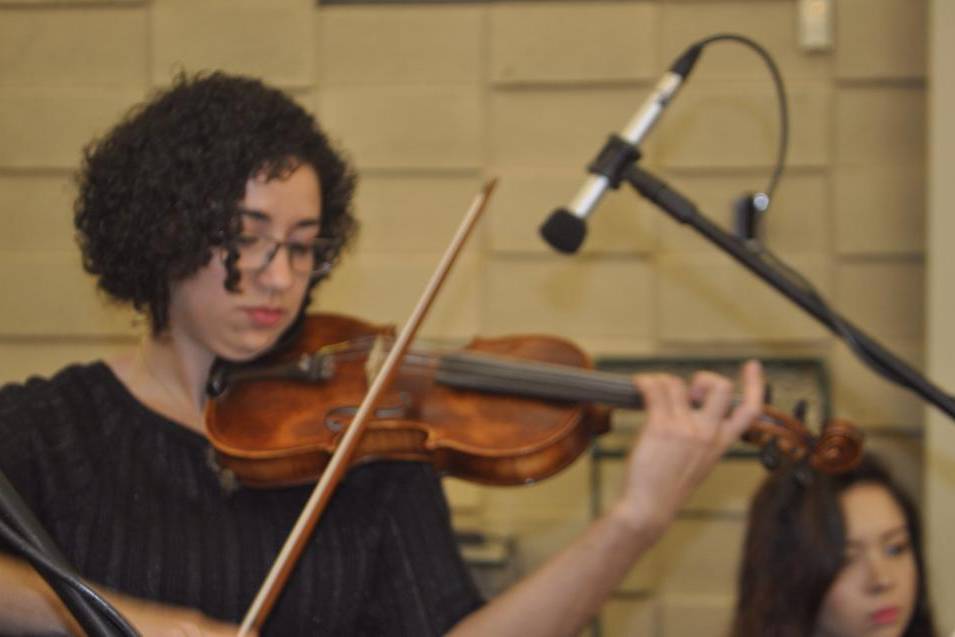 Violino