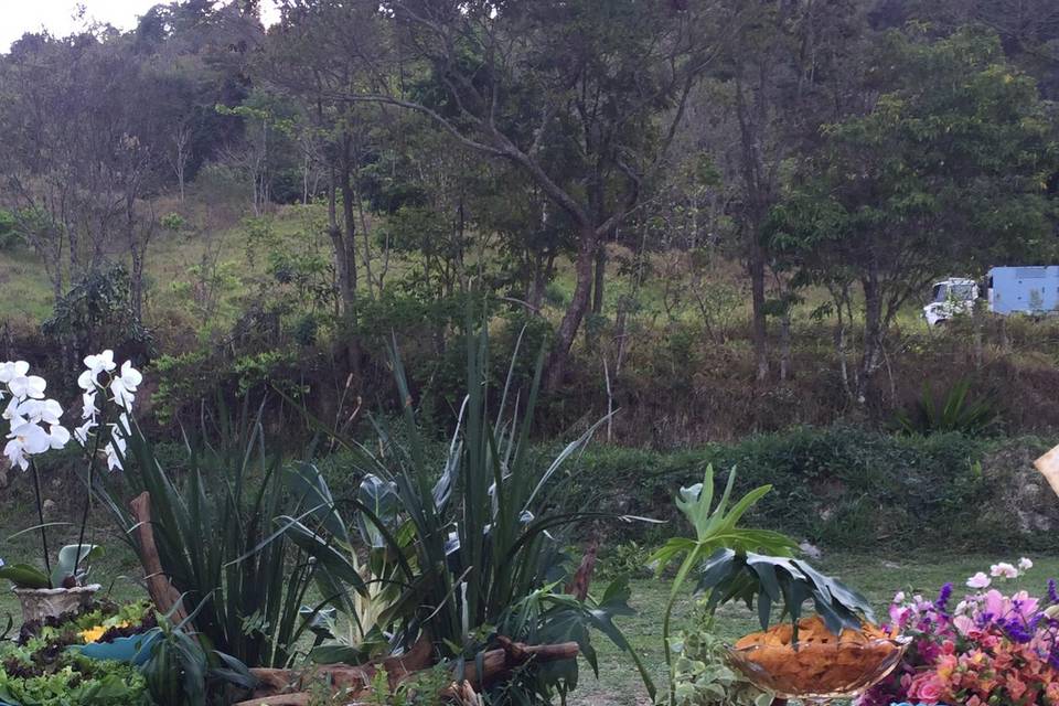 Espaço Daragona