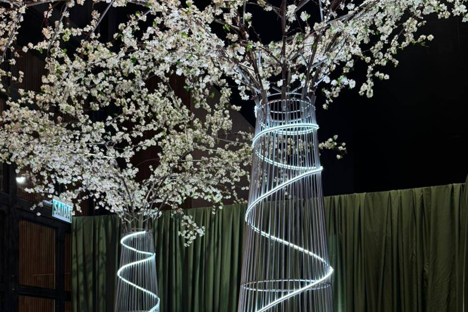 Formatura